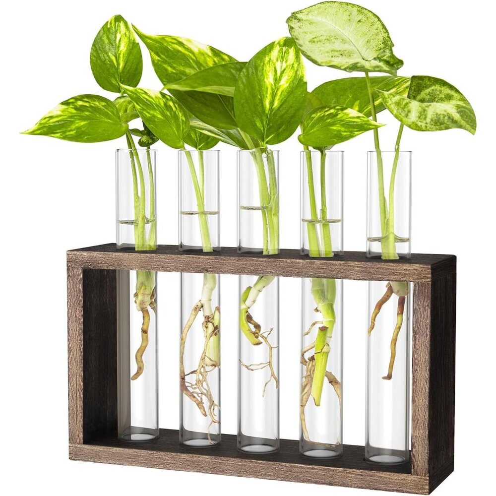 Propagation Station, Plants Terrarium, Plants Lover Gifts For Women,Plant Cuttin